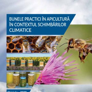 Bunele practici în apicultură în contextul schimbărilor climatice